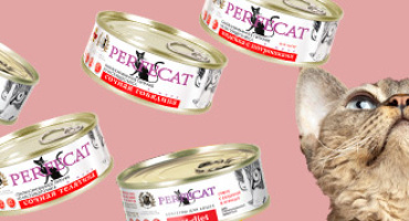 Влажный корм для кошек PERFECAT. НОВИНКА!