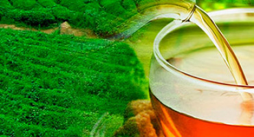 Что нужно знать о чае!