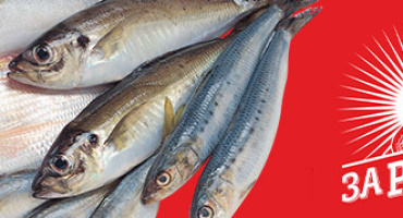 Группе компаний «За Родину» 74 года!